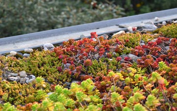 the cost of Southwater green roof installation