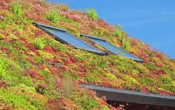 Southwater living roof systems
