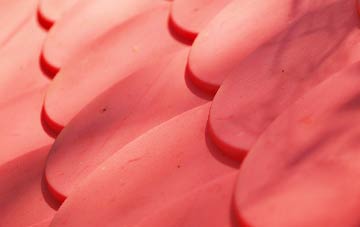 Southwater plastic roof costs