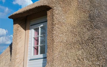 Southwater thatch roof disadvantages
