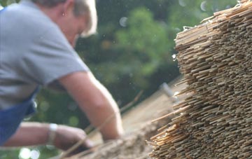 professional Southwater thatchers