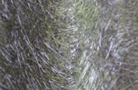 Southwater fibreglass roof work